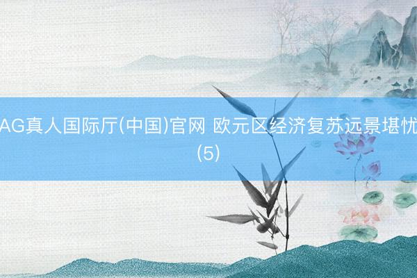 AG真人国际厅(中国)官网 欧元区经济复苏远景堪忧(5)