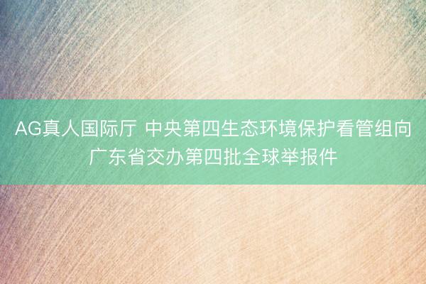 AG真人国际厅 中央第四生态环境保护看管组向广东省交办第四批全球举报件