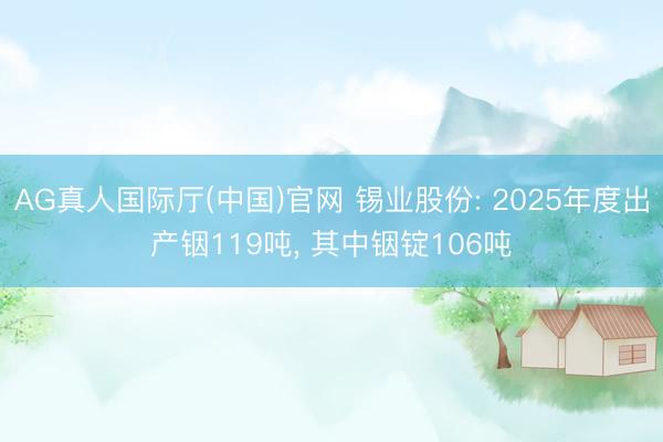 AG真人国际厅(中国)官网 锡业股份: 2025年度出产铟119吨， 其中铟锭106吨