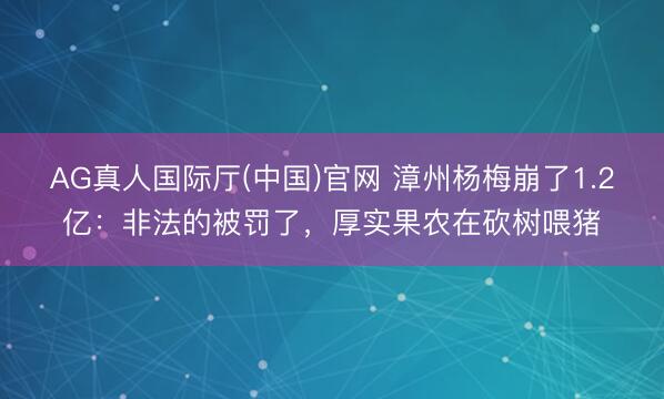 AG真人国际厅(中国)官网 漳州杨梅崩了1.2亿：非法的被罚了，厚实果农在砍树喂猪