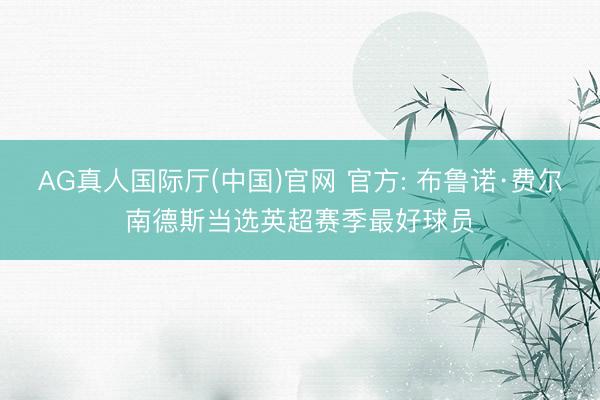 AG真人国际厅(中国)官网 官方: 布鲁诺·费尔南德斯当选英超赛季最好球员