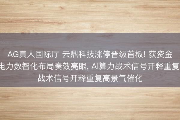 AG真人国际厅 云鼎科技涨停晋级首板! 获资金大幅抢筹， 电力数智化布局奏效亮眼， AI算力战术信号开释重复高景气催化