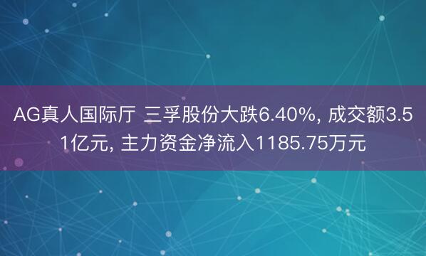 AG真人国际厅 三孚股份大跌6.40%， 成交额3.51亿元， 主力资金净流入1185.75万元