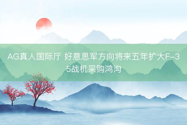 AG真人国际厅 好意思军方向将来五年扩大F-35战机采购鸿沟