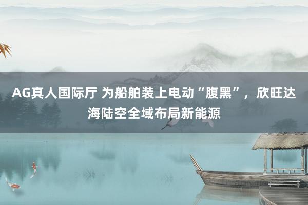 AG真人国际厅 为船舶装上电动“腹黑”，欣旺达海陆空全域布局新能源